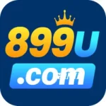 899U Game