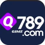 Q789 game